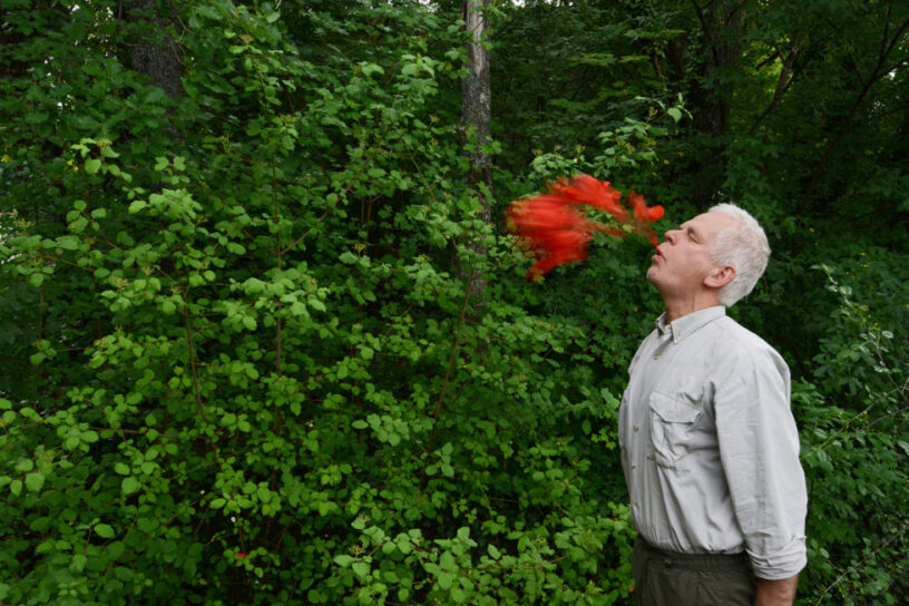 Andy Goldsworthy. Poppy spits. Digne-les-Bains, France. 10 June 2015 © Courtesy of Andy Goldsworthy and Slowtrack, Madrid