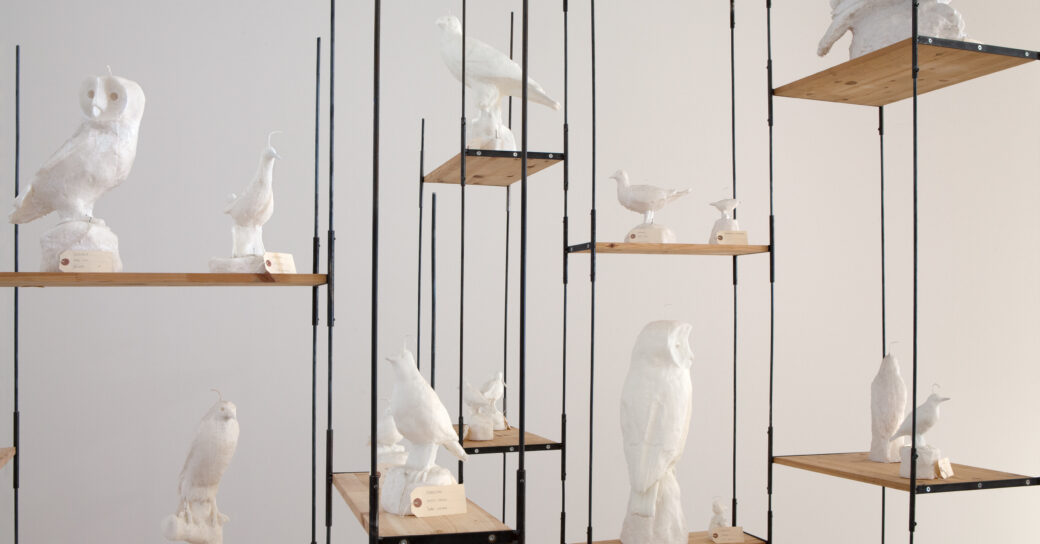Fågelskulpturer i vit stearin placerade i ett hyllsystem.