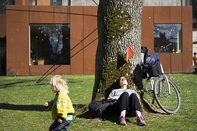 En kvinna solar och lutar ryggen mot ett stort träd i parken. En cykel står lutad mot trädet. I förgrunden springer ett barn förbi.