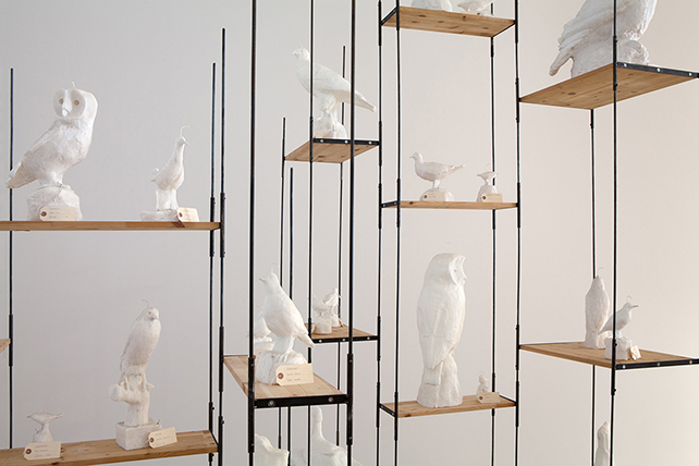Detalj av Fredrik Strids verk "Alla fåglar i Sverige". Vita fågelskulpturer i sterain står utplacerade i ett hyllsystem.