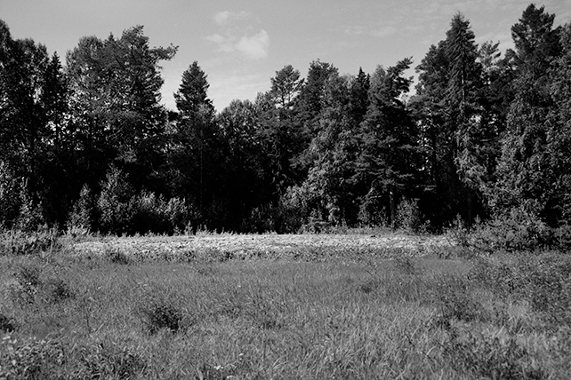 Svartvitt fotografi, en äng, resterna av en husgrund, skog.