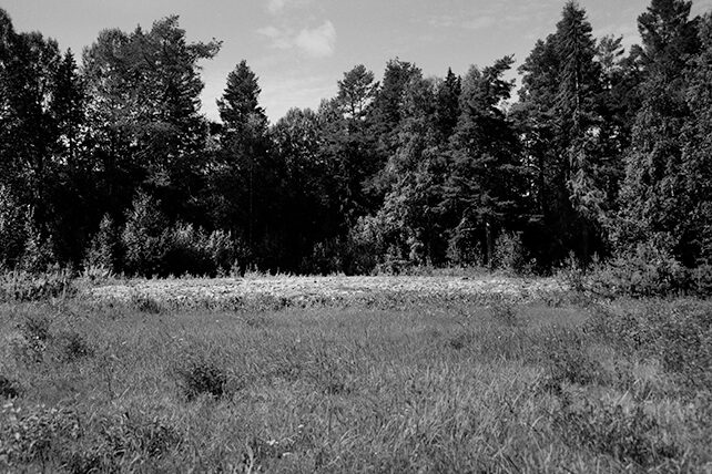 Svartvitt fotografi föreställande en äng, med en husgrund, i bakgrunden träd.