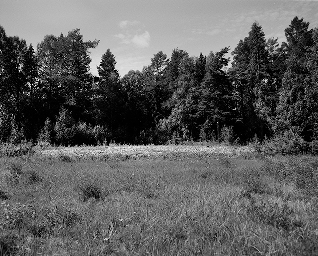 Svartvitt fotografi föreställande en äng, med en husgrund, i bakgrunden träd.